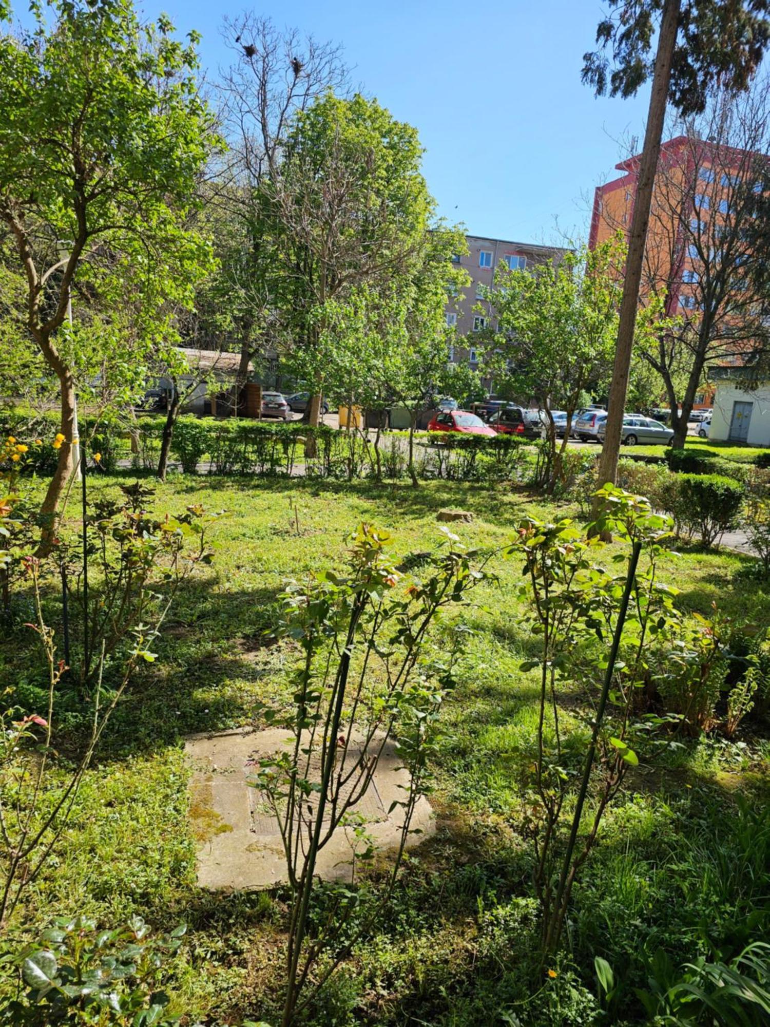דבה Apartament Alina מראה חיצוני תמונה
